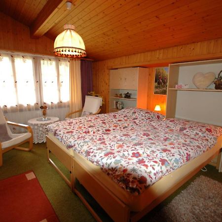 Pristine Home In A Charming Village Large Grassy Sunbathing Area View Of The M Nch And Jungfrau Wilderswil Exteriér fotografie