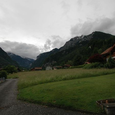 Pristine Home In A Charming Village Large Grassy Sunbathing Area View Of The M Nch And Jungfrau Wilderswil Exteriér fotografie