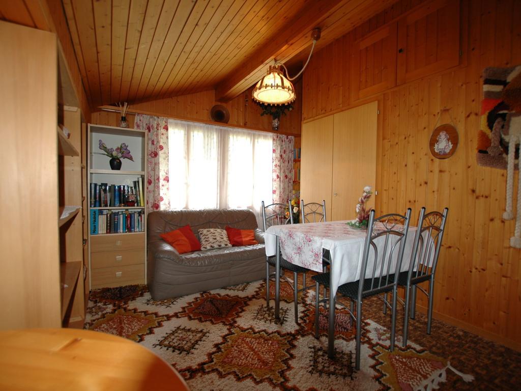 Pristine Home In A Charming Village Large Grassy Sunbathing Area View Of The M Nch And Jungfrau Wilderswil Exteriér fotografie