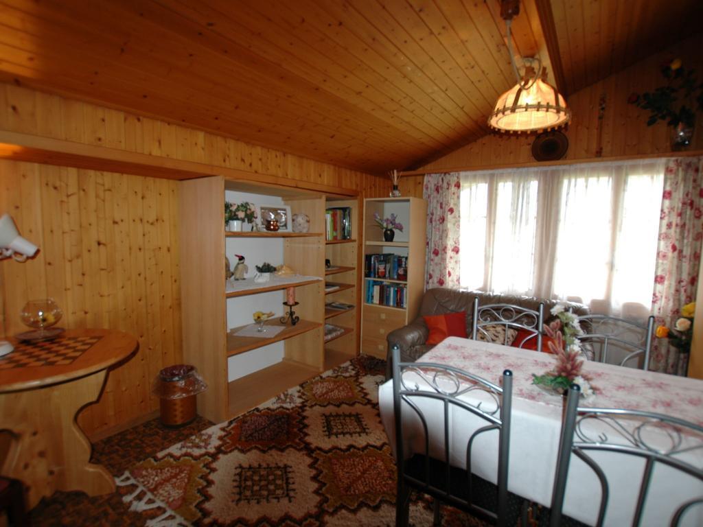 Pristine Home In A Charming Village Large Grassy Sunbathing Area View Of The M Nch And Jungfrau Wilderswil Exteriér fotografie